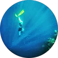 simone gaido Avatar